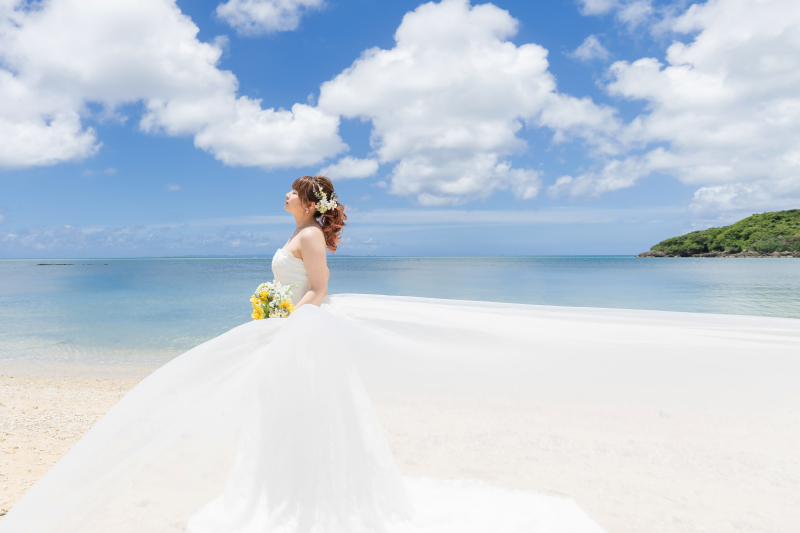 プリンセスのような