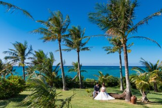 グリーン撮影追加