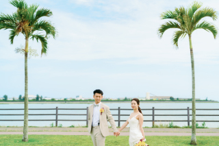 椰子の木ロード撮影(5カット)