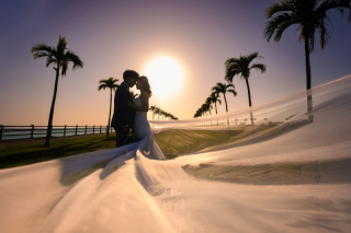 capryフォトウェディング沖縄（キャプリィフォトウェディング沖縄）_おすすめスポット①【ヤシの木ロード】