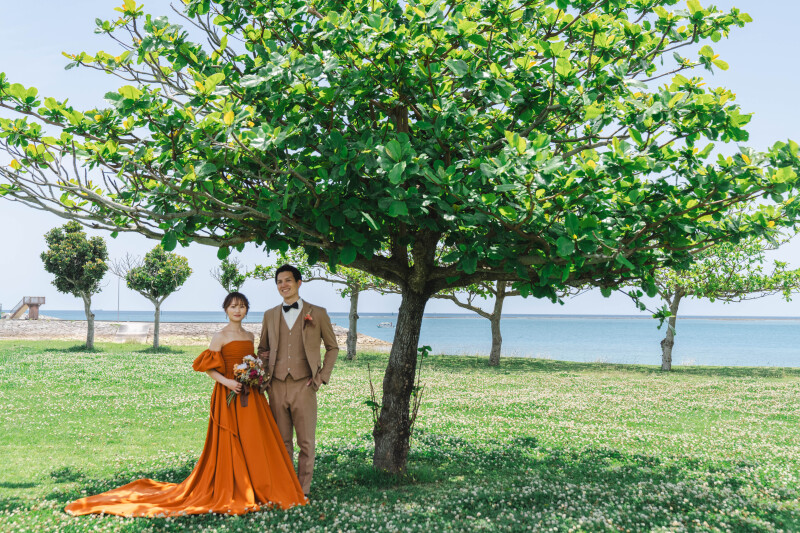 Photographerの作品