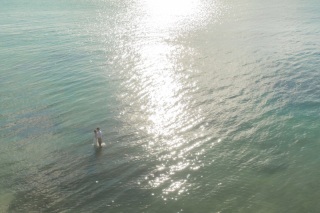 capryフォトウェディング沖縄（キャプリィフォトウェディング沖縄）_ドローンフォト ~Drone~