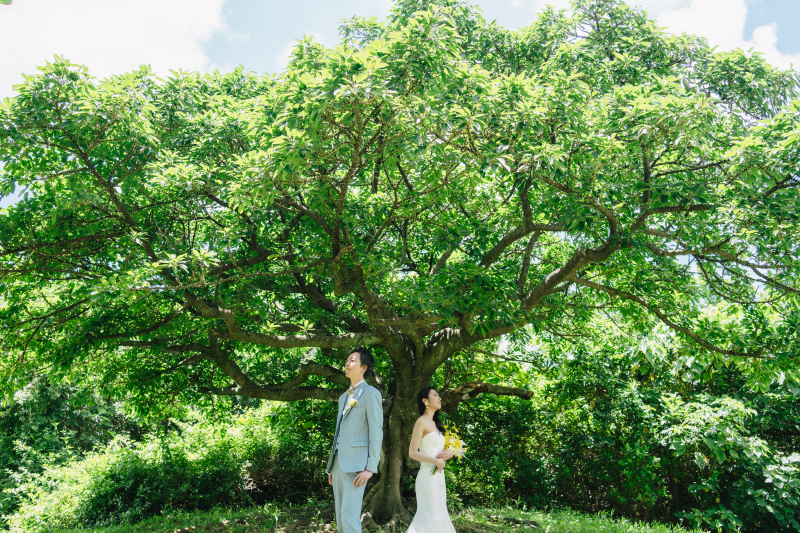 ◇◆グリーンスポット◆◇ グリーンも沖縄の魅力的な撮影場所のひとつ。一年を通して温かな気候の沖縄ならではの緑や花々、木々。沖縄の魅力をよく知るフォトグラファーだからこその視点で撮影をしていきます!