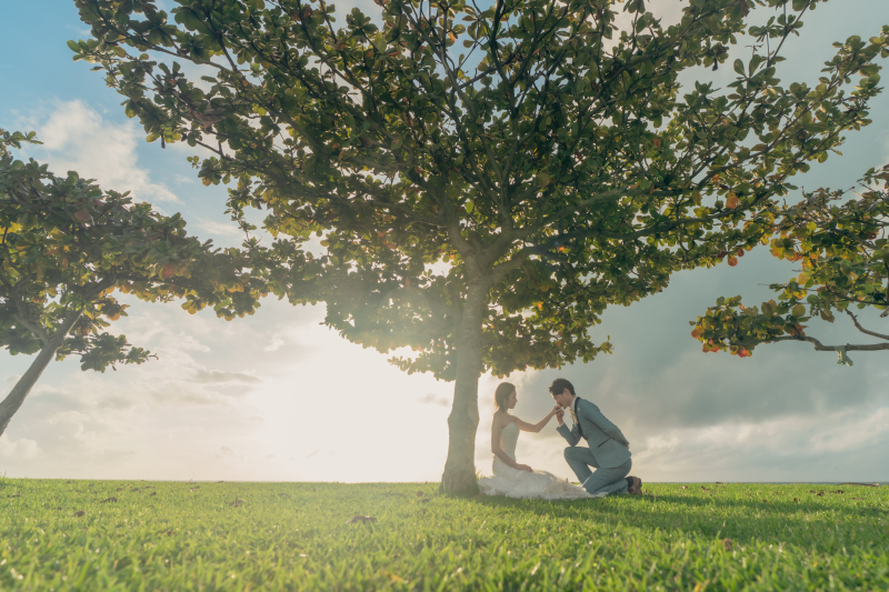 【組み合わせは自由！】選べる3ロケーション撮影コミコミ200カット《衣裳追加料金なし！全てのドレス&タキシードから選び放題》