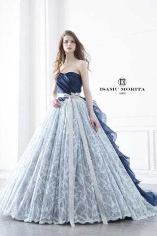 グレードアップ　IC24BL