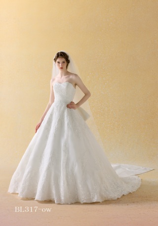 グレードアップ　BL317