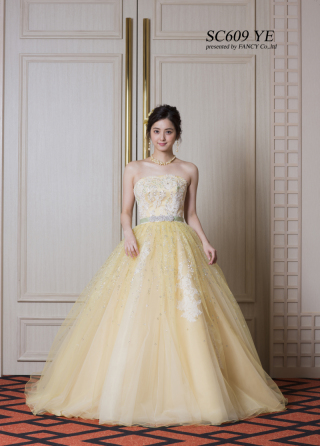 グレードアップ　SC609