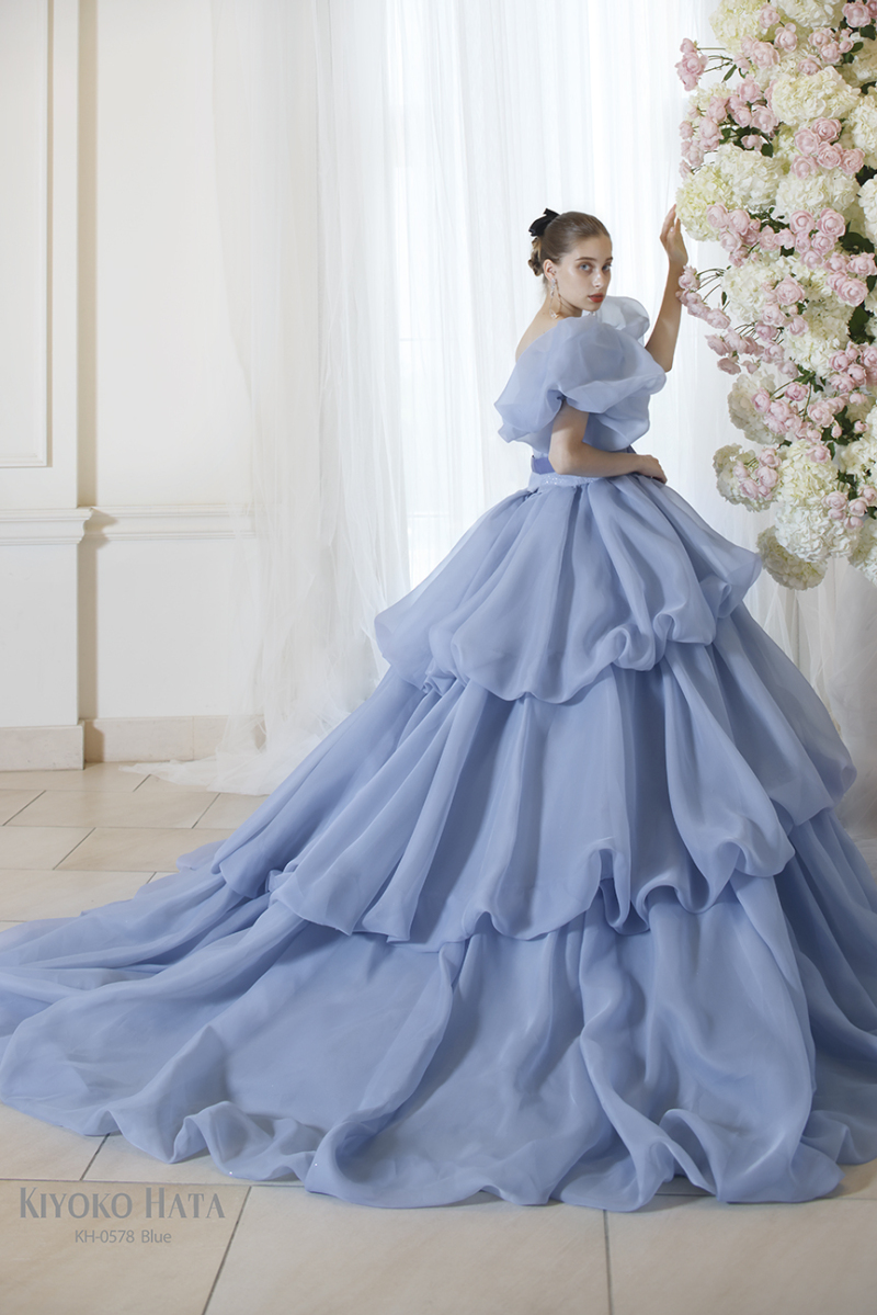 【屋内専用】グレードアップ　KH0578-BLUE