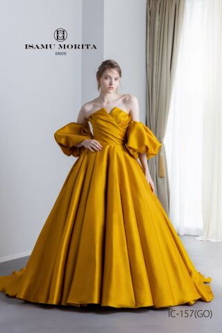 【屋内専用】グレードアップ　IC-157