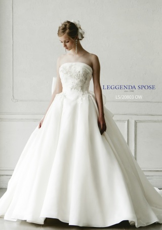 グレードアップ　LS20803