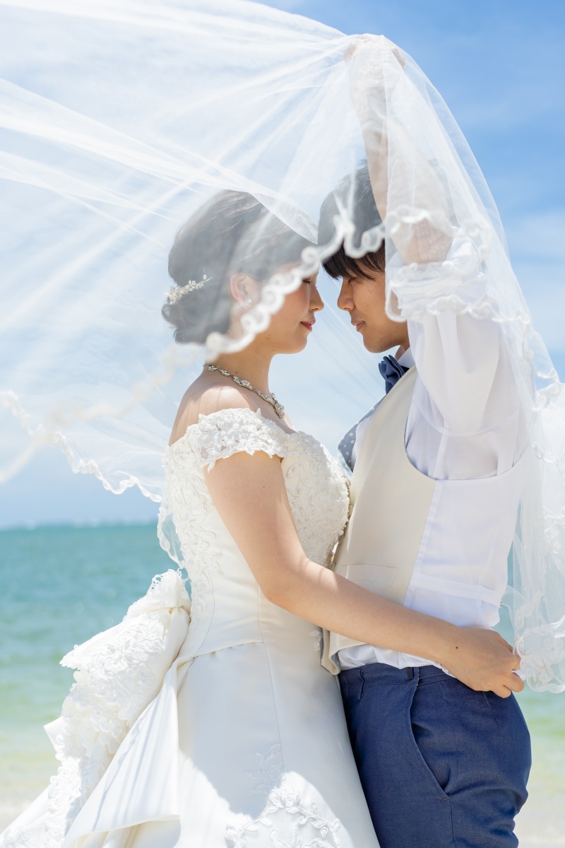 ベールのカーテン