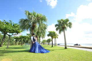 ウェディングドレス&カラードレス