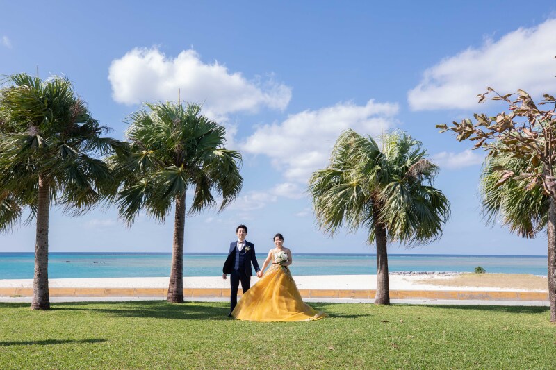 ヤシの木の下で