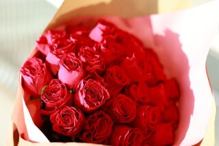 感動のプロポーズをチャペルで☆彡～プロポーズプラン～