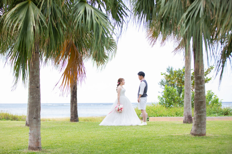 ヤシの木の間で