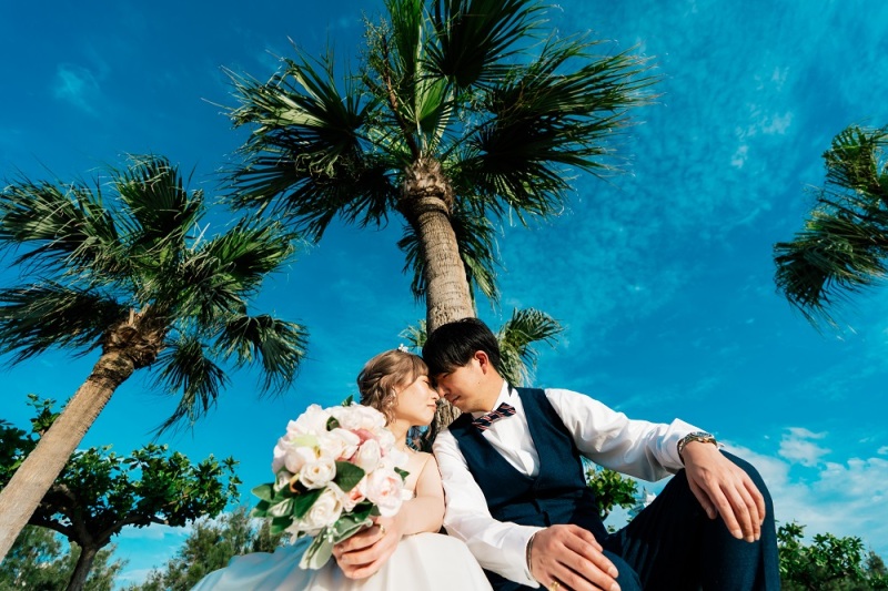 青い空とヤシの木