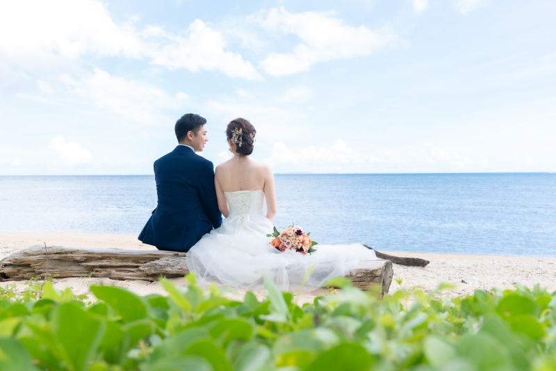 流木にちょこんと腰掛けて