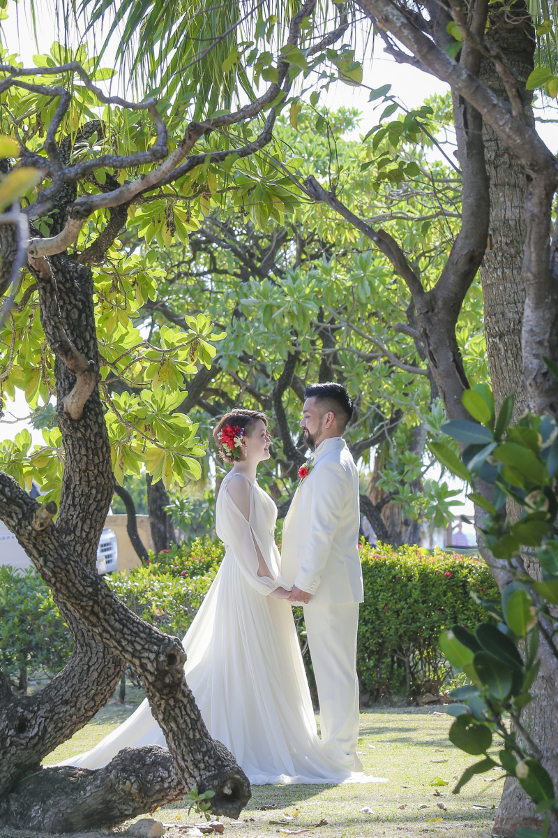 木々に囲まれ。