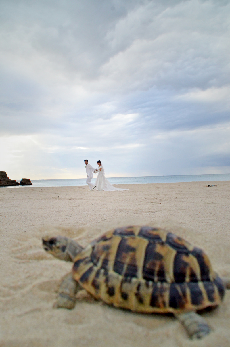 愛亀ちゃんとお撮影しました♡