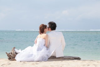 異国の流木に腰かけて