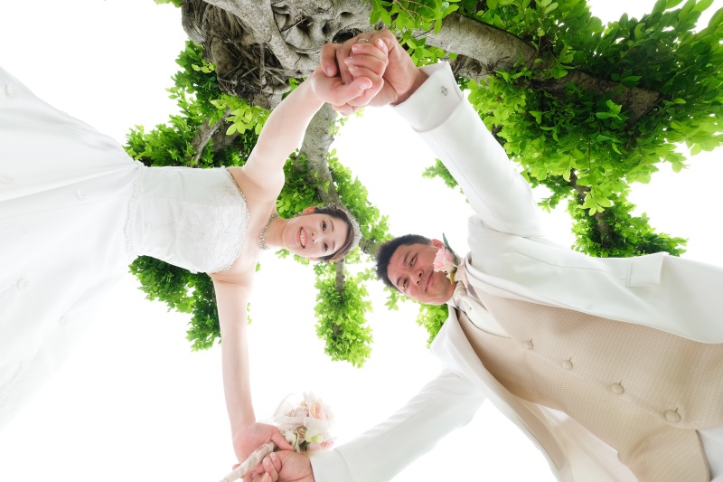 がじゅまるの木と一緒に