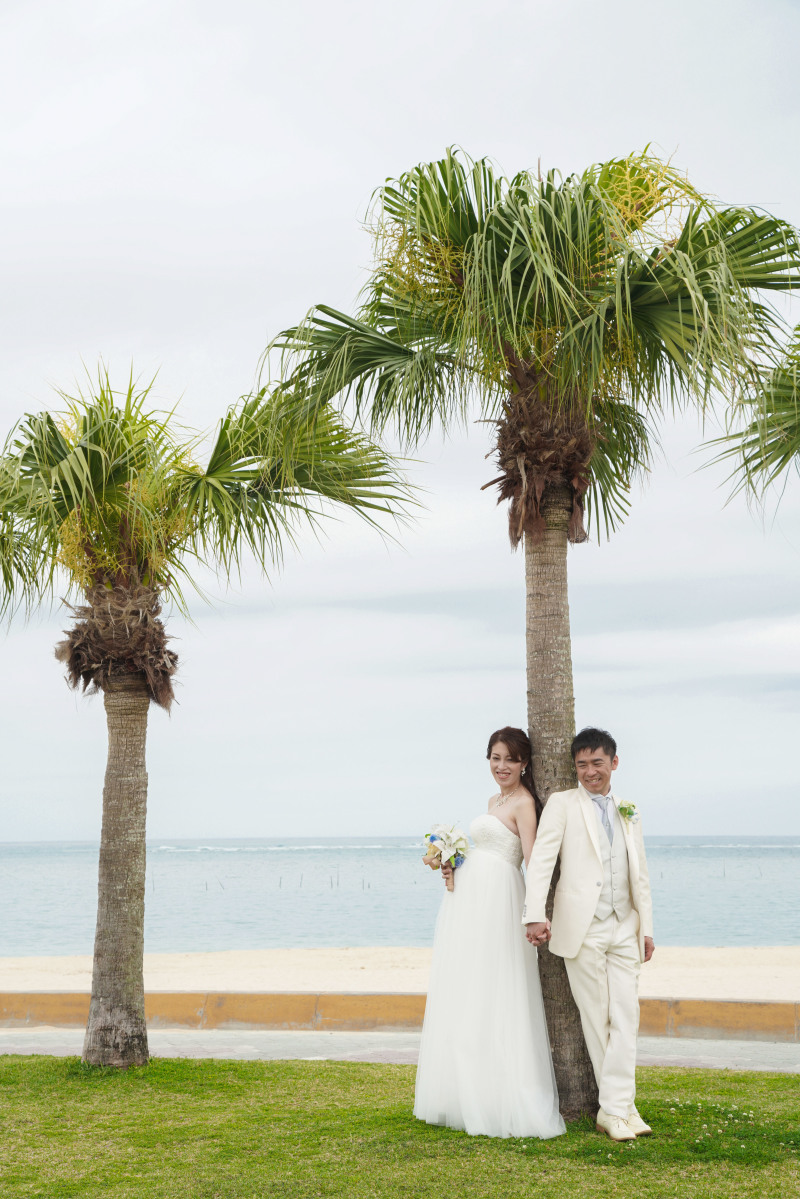 ヤシの木と一緒に