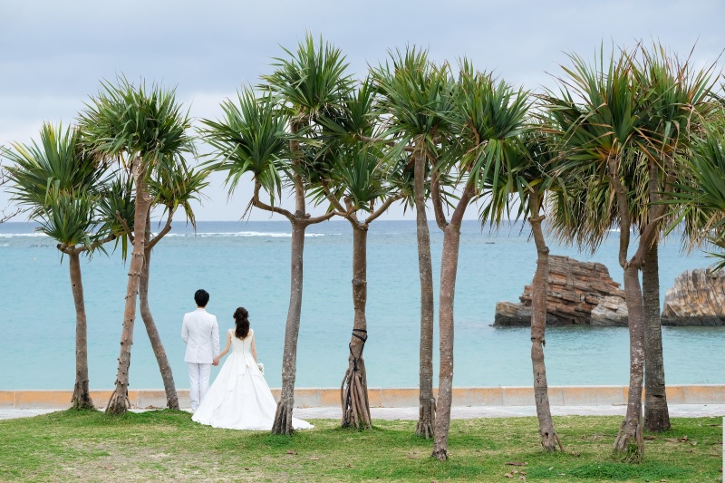 グリーンとブルーの贅沢ショット