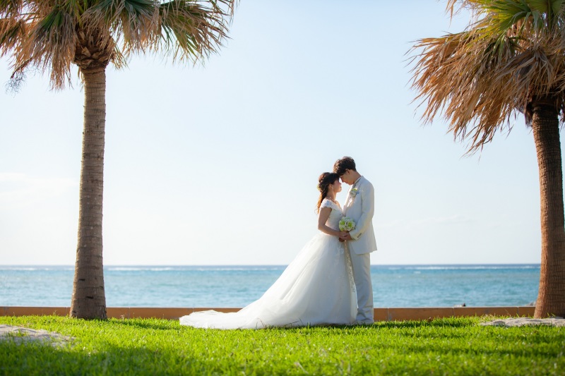 南国感溢れるショット