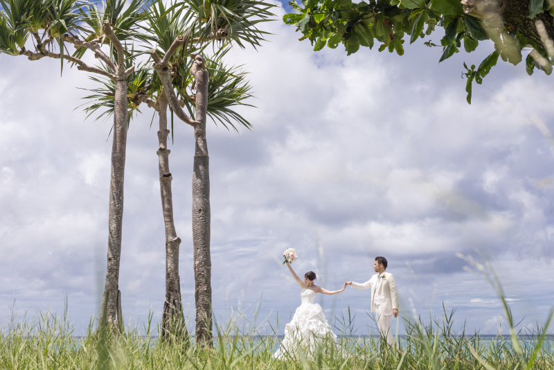 引きのショット