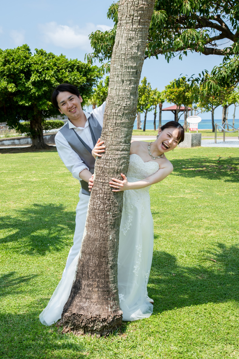 ひょっこり