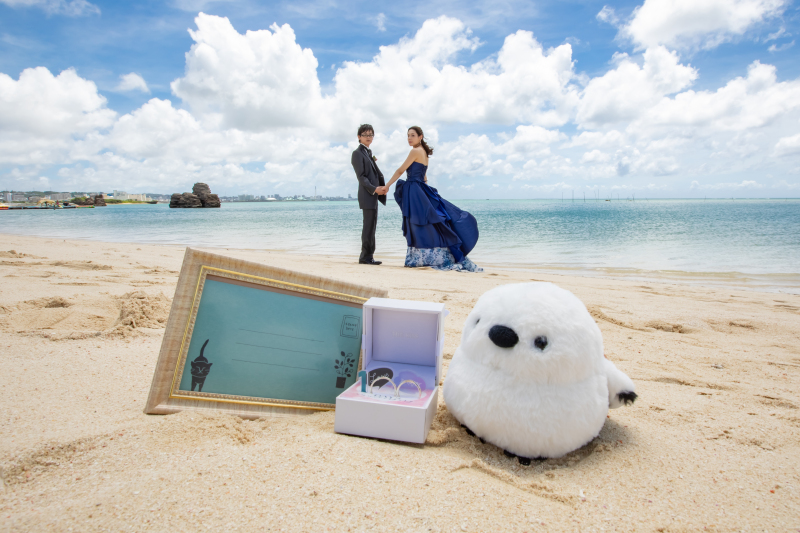 撮影スタート♪（アラハビーチ１）