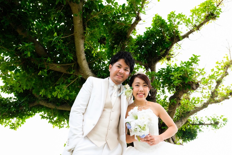 深緑の木をバックに