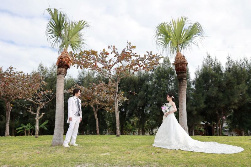 緑に映える白のコントラスト