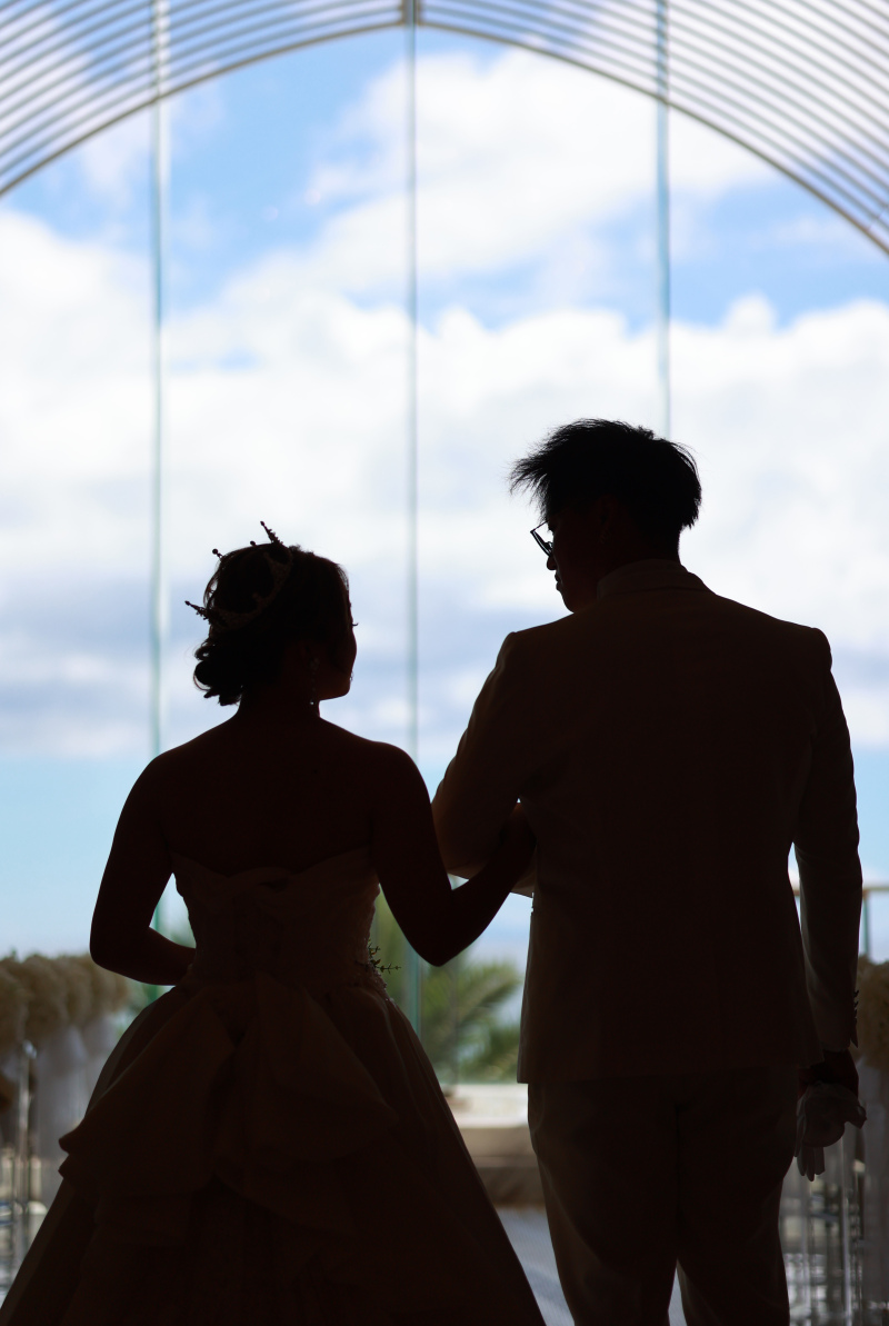 シルエット撮影