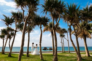 また沖縄が好きになる