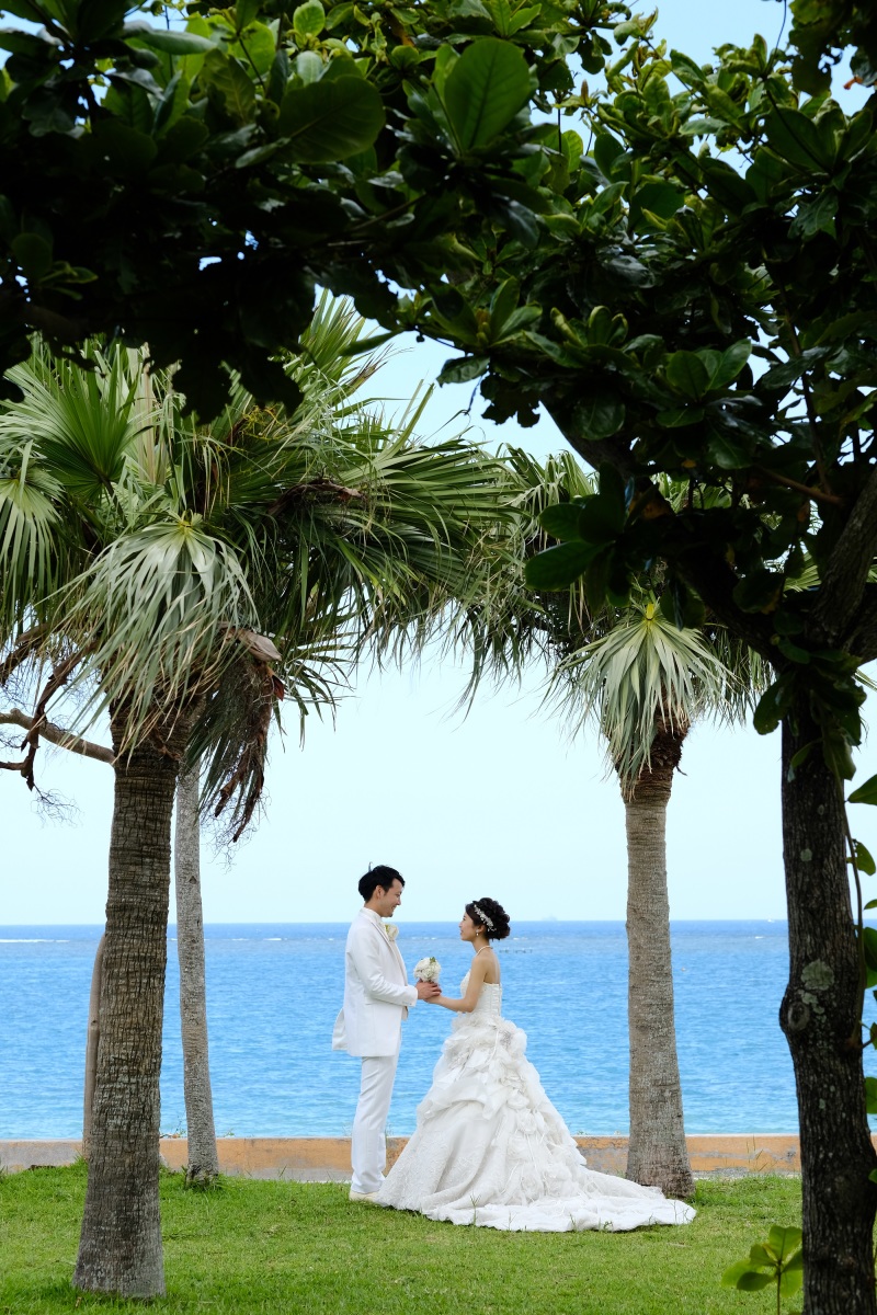 木々の間から・・・