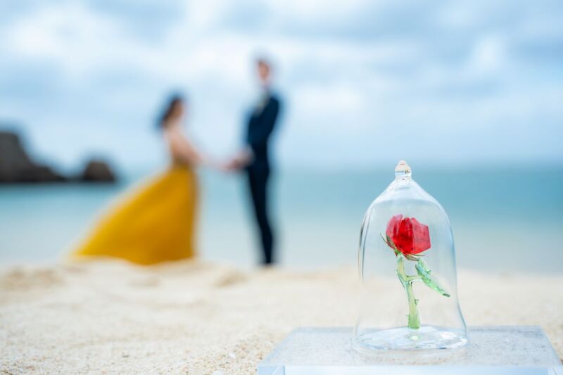 美女と野獣をイメージした薔薇が主役になった一枚☆