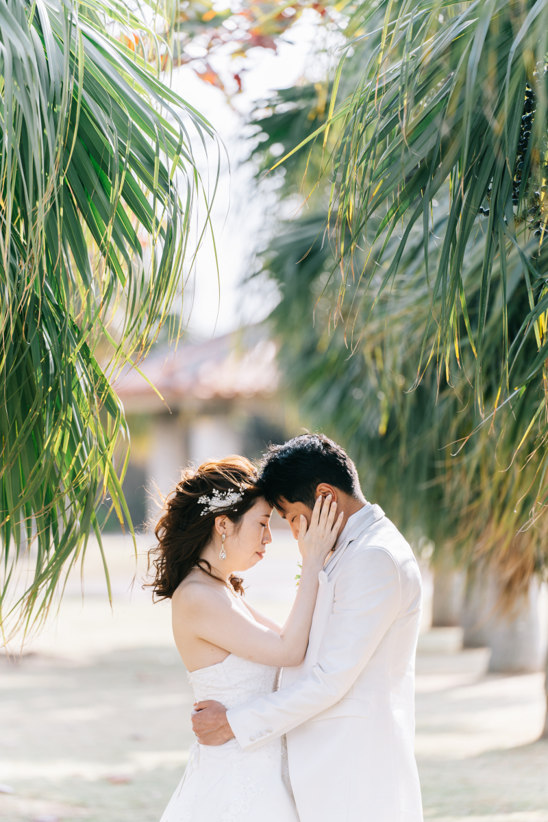 ヤシの木に囲まれて