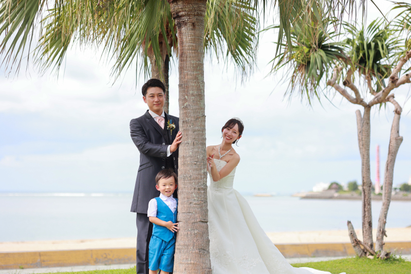 本日のラストショットは、ヤシの木からのひょっこり