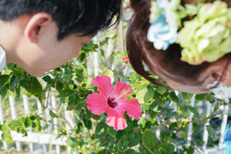 花開け♪