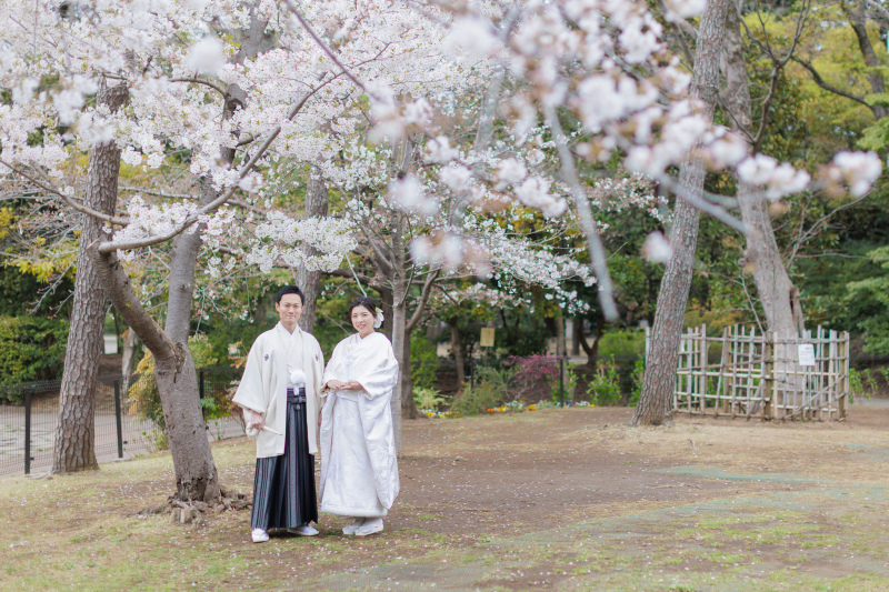 スタジオ＋有栖川宮記念公園