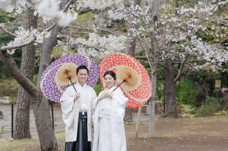 桜ロケーション撮影❀