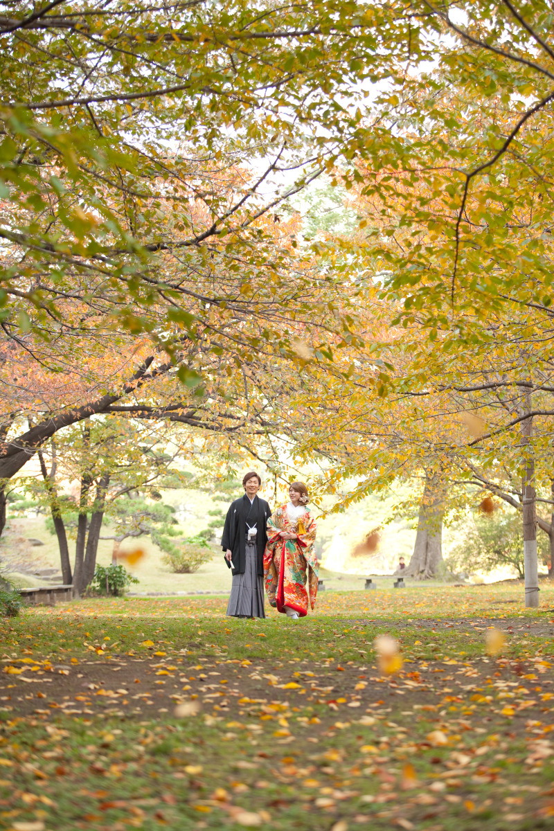 百人一首に出てきそうな紅葉の絨毯