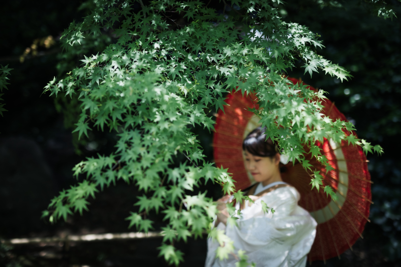 11月末まで3万円オフ♪【清澄庭園】ロケーション★衣裳・撮影全データ150付★