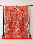 J021赤地藤重　幸菱