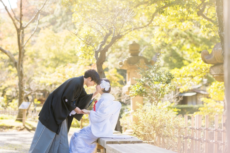 少し広く撮った写真も。