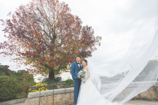 自然と撮りたいカップル必見！山下公園ロケーションプラン