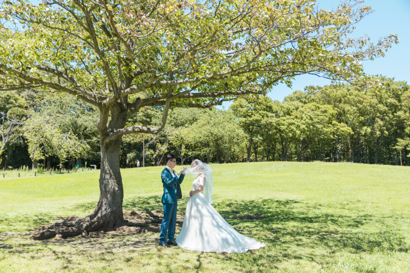 緑と青空の下で。