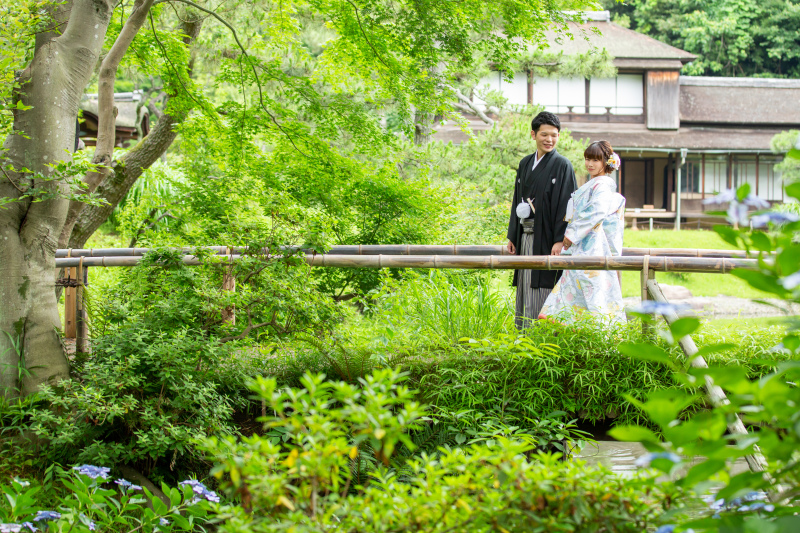 アジサイやアヤメ