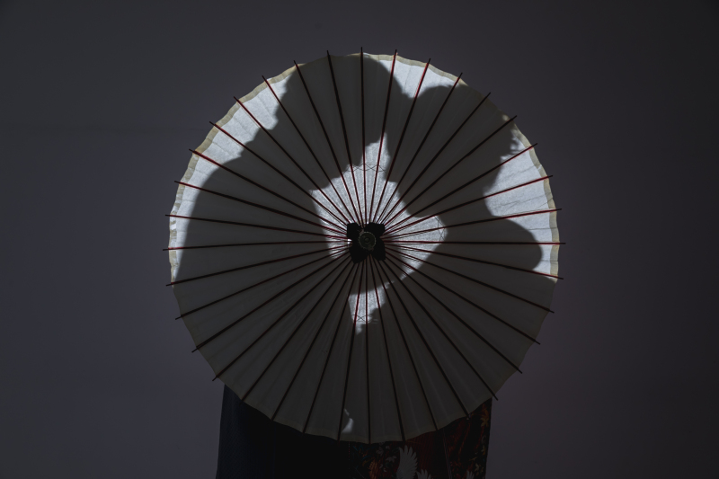 シルエットポーズはスタジオ限定!?